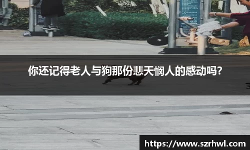NG娱乐